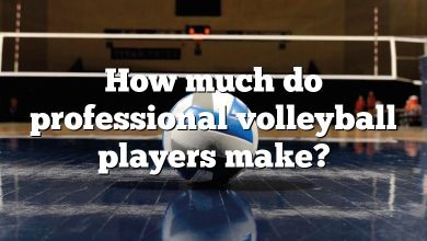How much do professional volleyball players make?