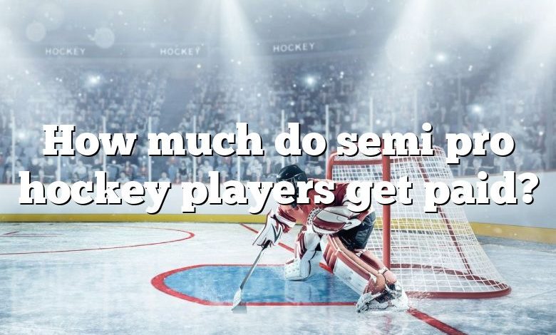 How much do semi pro hockey players get paid?