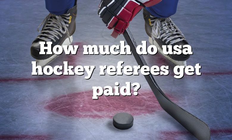 How much do usa hockey referees get paid?