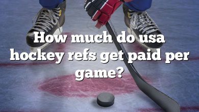How much do usa hockey refs get paid per game?