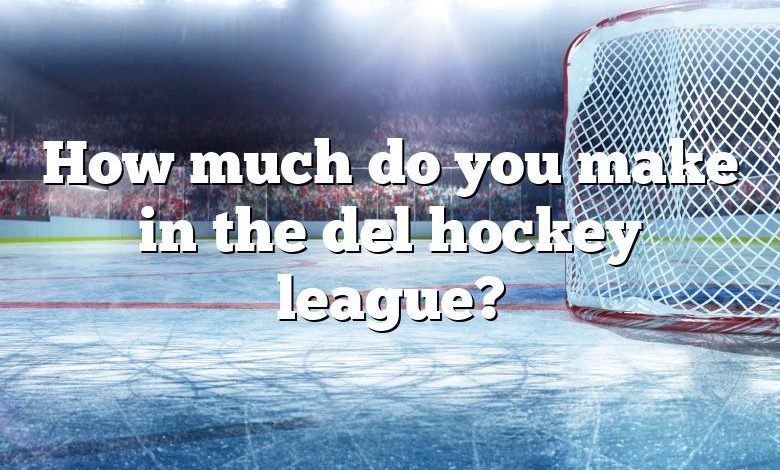 How much do you make in the del hockey league?