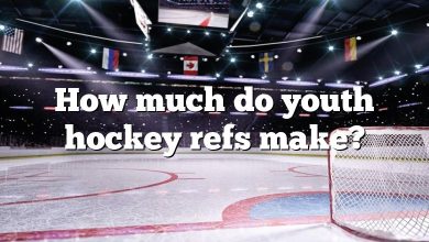 How much do youth hockey refs make?