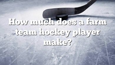 How much does a farm team hockey player make?