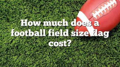 How much does a football field size flag cost?