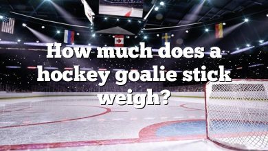 How much does a hockey goalie stick weigh?