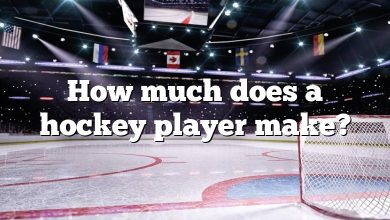 How much does a hockey player make?