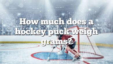 How much does a hockey puck weigh grams?