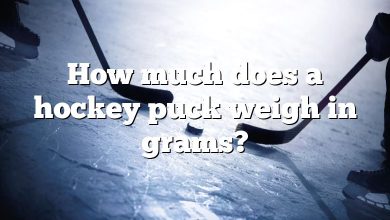 How much does a hockey puck weigh in grams?