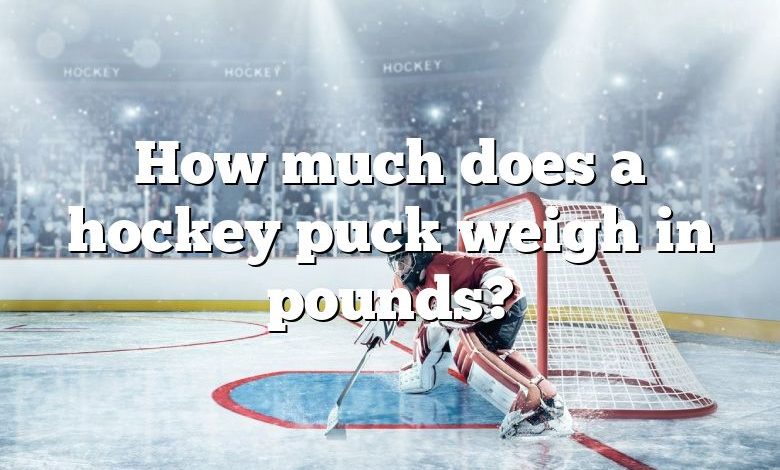 How much does a hockey puck weigh in pounds?