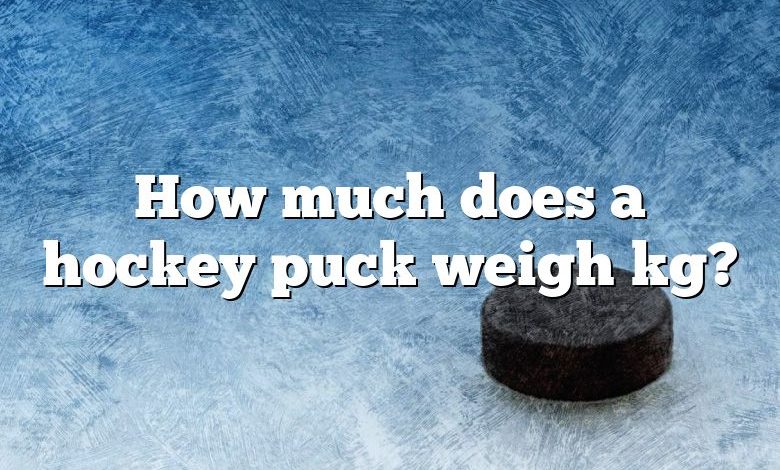 How much does a hockey puck weigh kg?