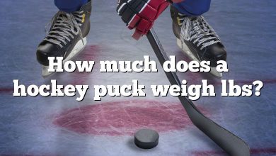 How much does a hockey puck weigh lbs?