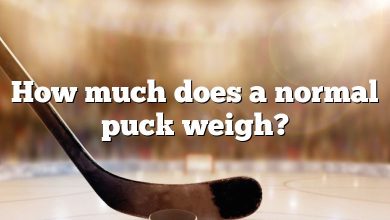 How much does a normal puck weigh?