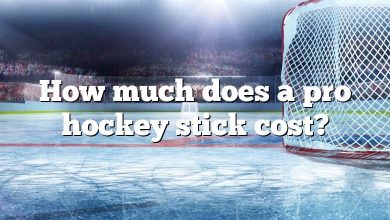 How much does a pro hockey stick cost?