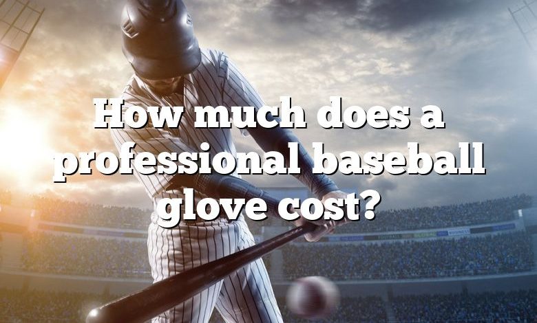 How much does a professional baseball glove cost?