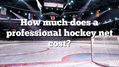 How much does a professional hockey net cost?