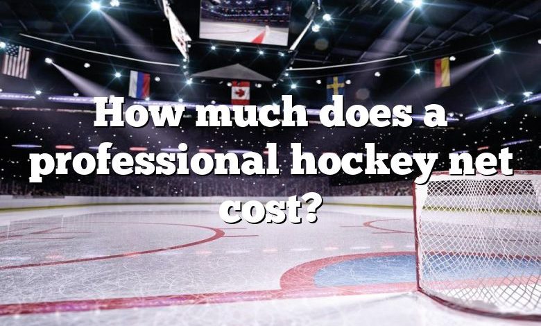 How much does a professional hockey net cost?