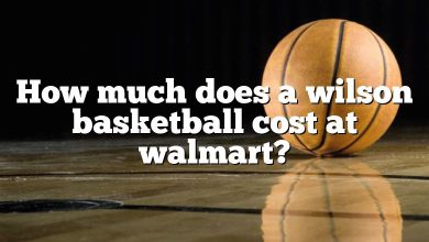 How much does a wilson basketball cost at walmart?