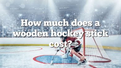 How much does a wooden hockey stick cost?