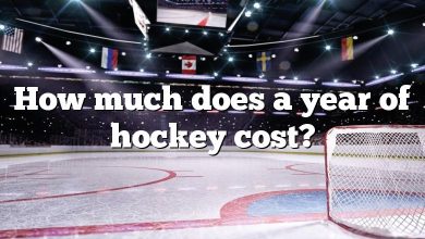 How much does a year of hockey cost?