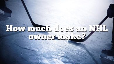 How much does an NHL owner make?