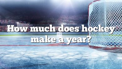 How much does hockey make a year?