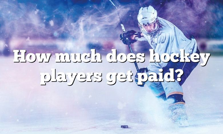 How much does hockey players get paid?