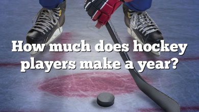 How much does hockey players make a year?