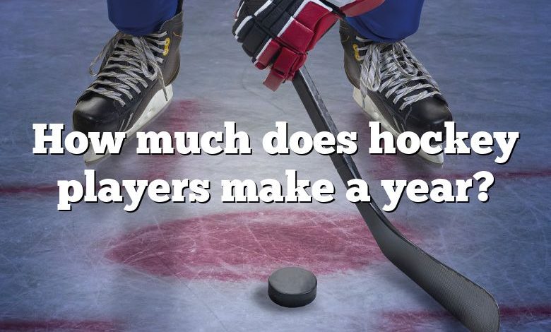 How much does hockey players make a year?