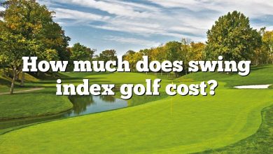 How much does swing index golf cost?