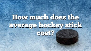 How much does the average hockey stick cost?