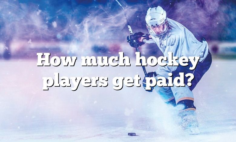 How much hockey players get paid?