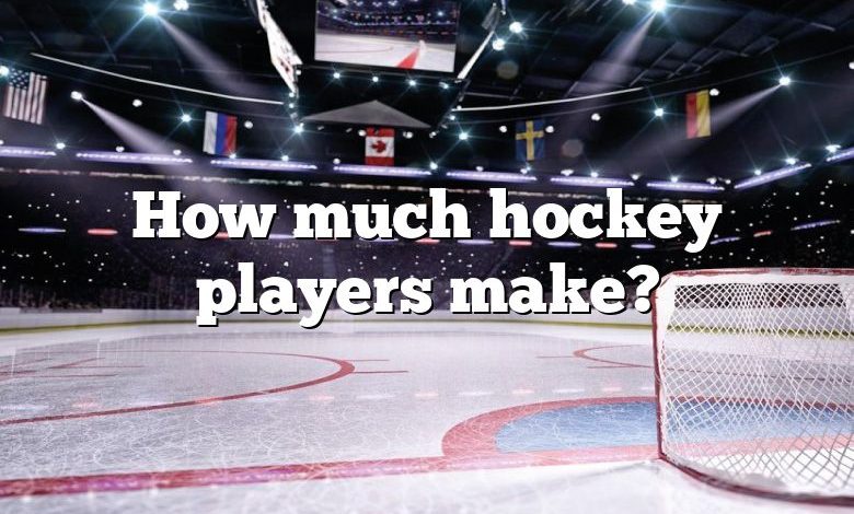 How much hockey players make?