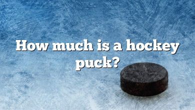 How much is a hockey puck?