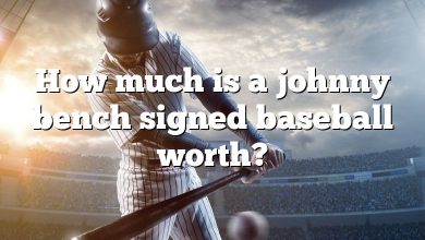 How much is a johnny bench signed baseball worth?