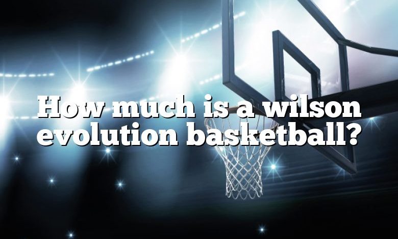 How much is a wilson evolution basketball?