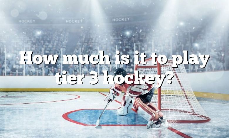 How much is it to play tier 3 hockey?
