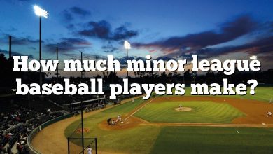 How much minor league baseball players make?