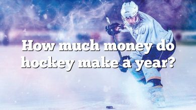 How much money do hockey make a year?