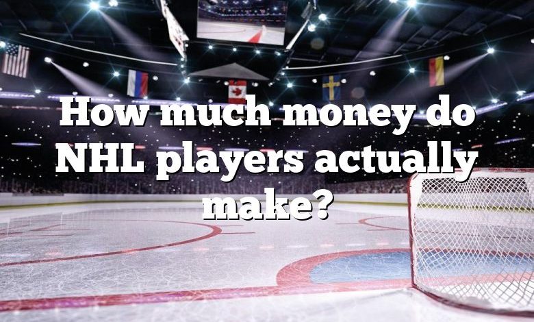 How much money do NHL players actually make?