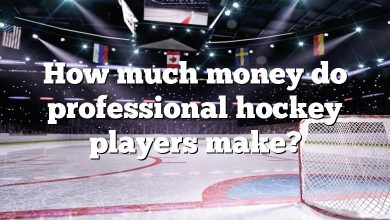 How much money do professional hockey players make?