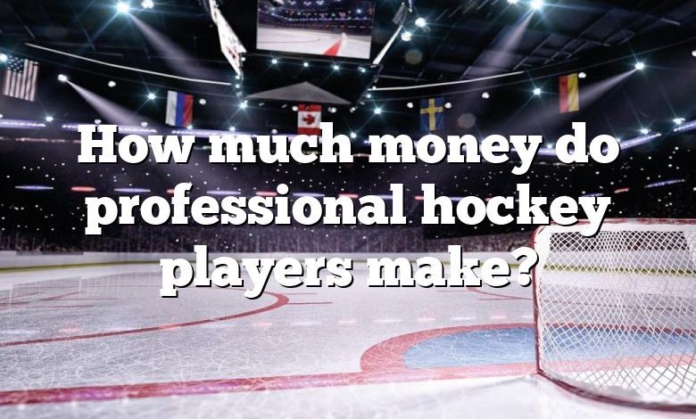 How much money do professional hockey players make?