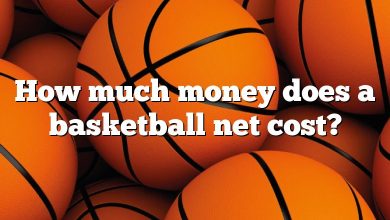 How much money does a basketball net cost?