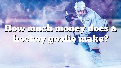 How much money does a hockey goalie make?