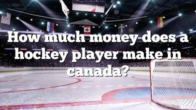 How much money does a hockey player make in canada?