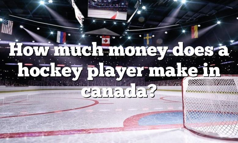 How much money does a hockey player make in canada?