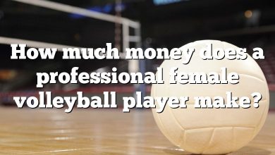 How much money does a professional female volleyball player make?