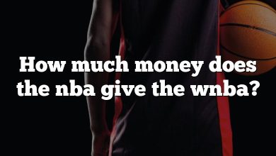 How much money does the nba give the wnba?