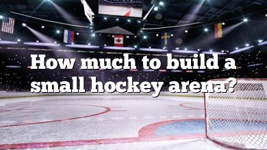 How much to build a small hockey arena?