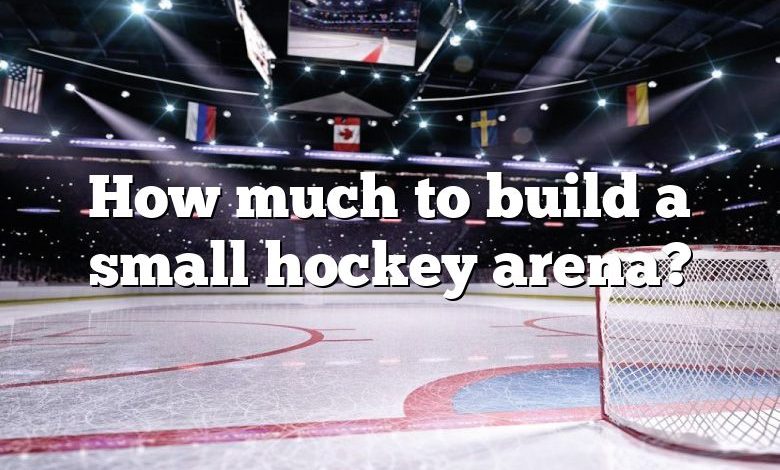 How much to build a small hockey arena?