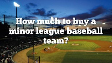 How much to buy a minor league baseball team?